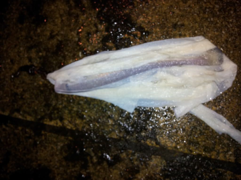 20130122_204327_zpsd2ba0285.jpg