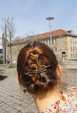 Bild