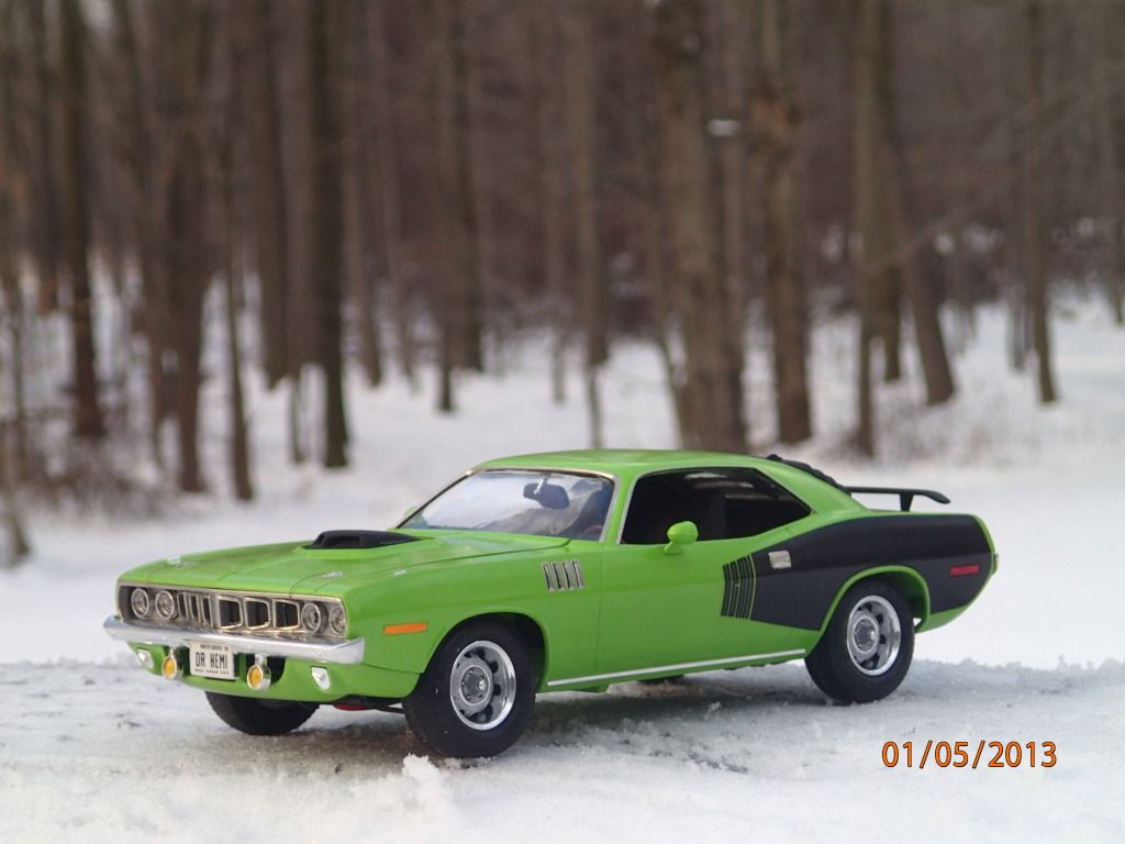 P1050074_zps66133c00.jpg?t=1357422595