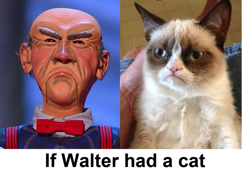 waltercat_zps84b96af8.jpg