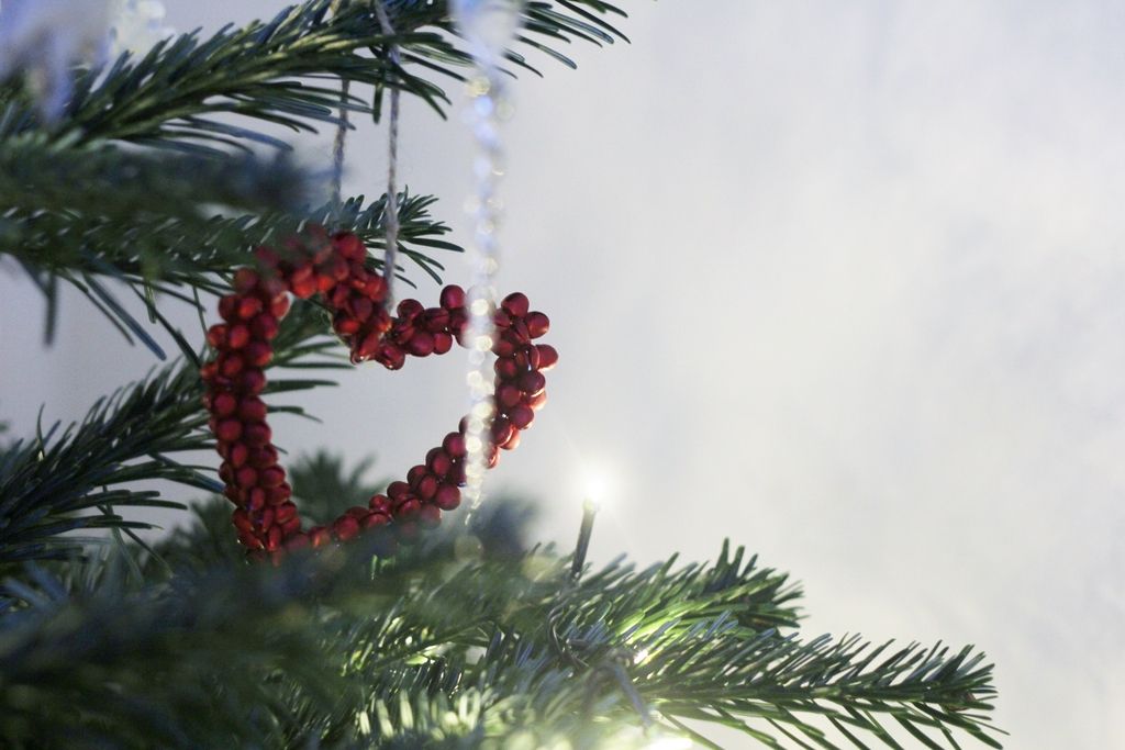 magical-christmas-decorations photo 088_zpsy0lkgzbr.jpg