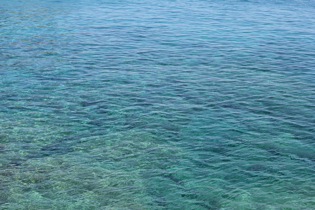 photo fcb8aa53-a80b-4f8f-9c54-1ece4f2003b6_zpss8dwgnfh.jpg