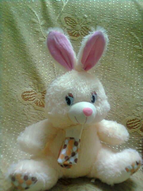 Bunny  :*
