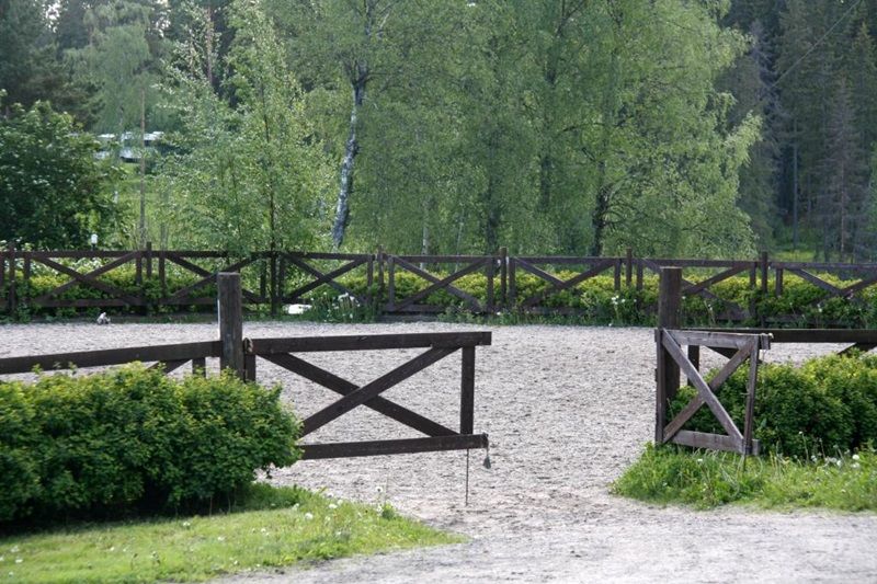 ratsastuskenttää © mibula