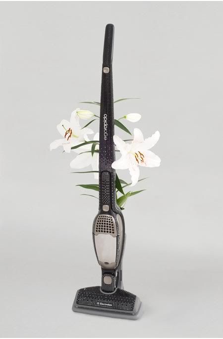 Electrolux Ergorapido 2 в 1